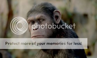  photo 6bb89498-9dbf-4f1a-b8a2-b7813032aaae.jpg