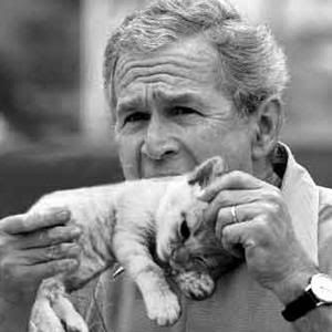 Bush holding a cat like he's eating corn on the cob