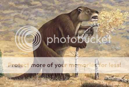 ground sloths