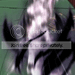 Dark-Rukia-Teleportation.png