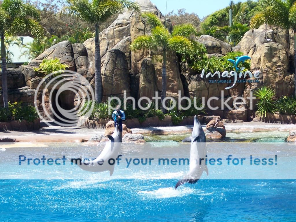  photo SeaWorld032.jpg