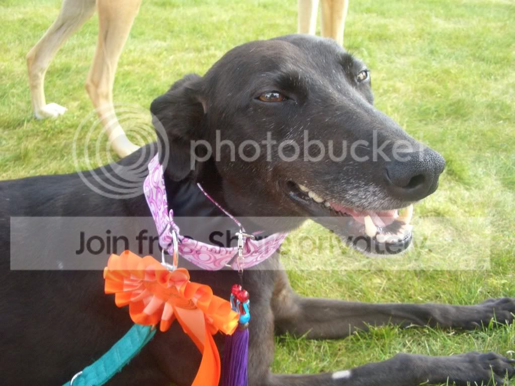 jennyplustilly Avatar