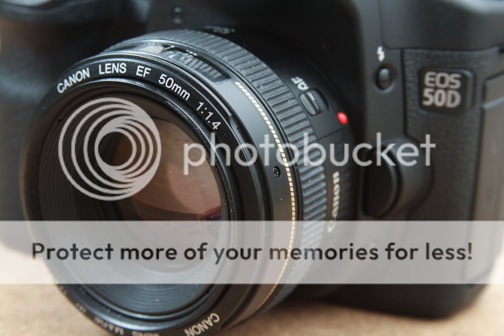 IMAGE: http://i1021.photobucket.com/albums/af339/smrndmguy/Crop_1000-1-2-2.jpg