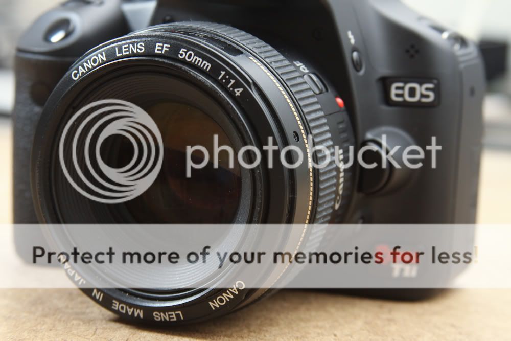 IMAGE: http://i1021.photobucket.com/albums/af339/smrndmguy/Crop_1000-1-20.jpg