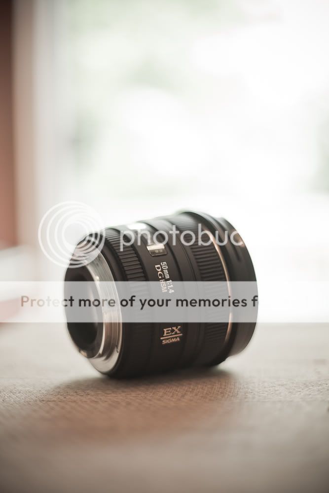 IMAGE: http://i1021.photobucket.com/albums/af339/smrndmguy/Resize10001of1-114.jpg