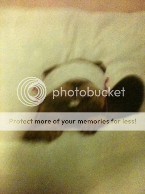 Photobucket Pictures, Images and Photos