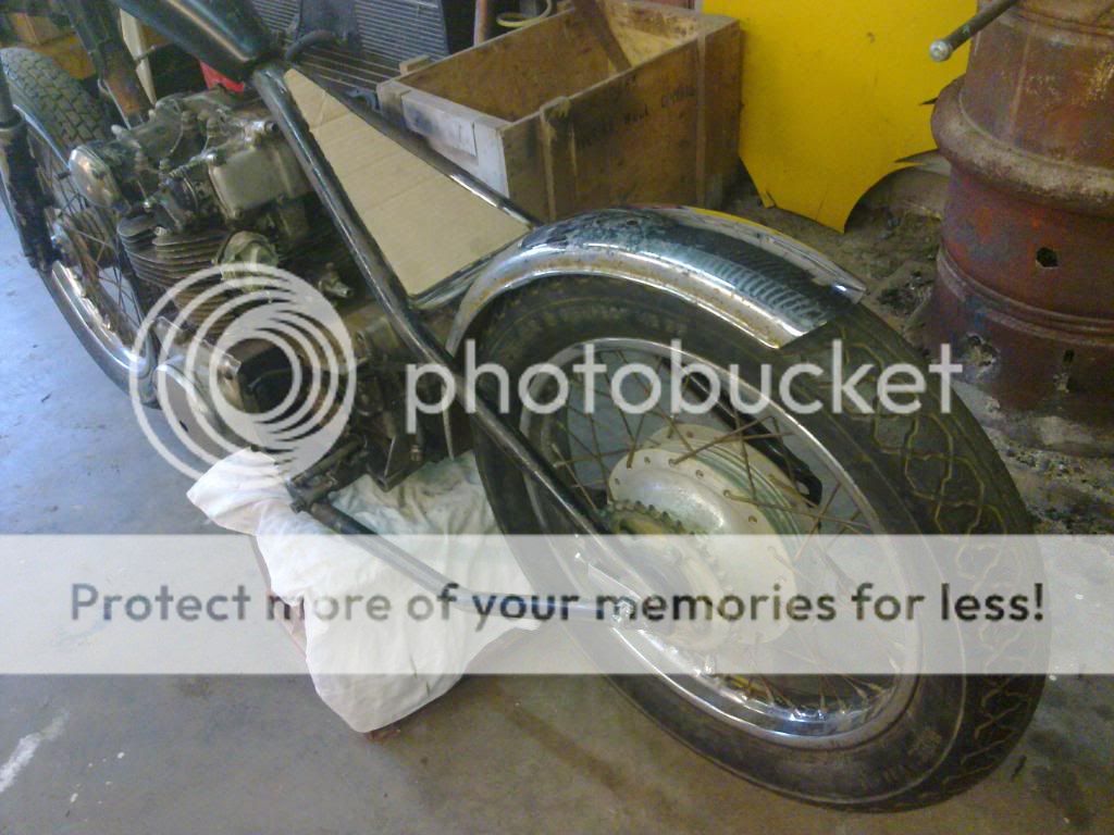 Posted Image