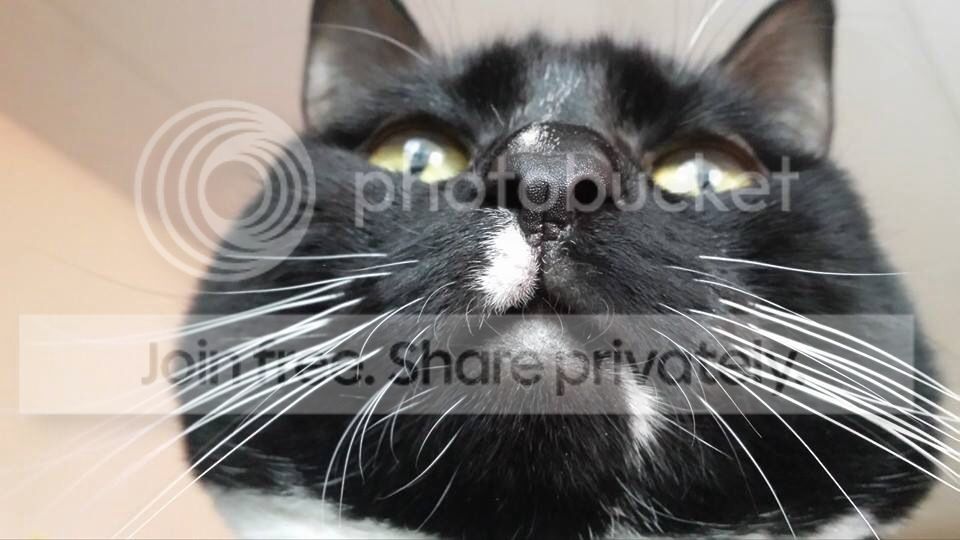 Photobucket Pictures, Images and Photos